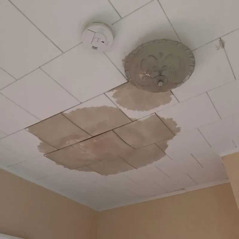 Ceiling Water Damage Repair in Cedarville, OH