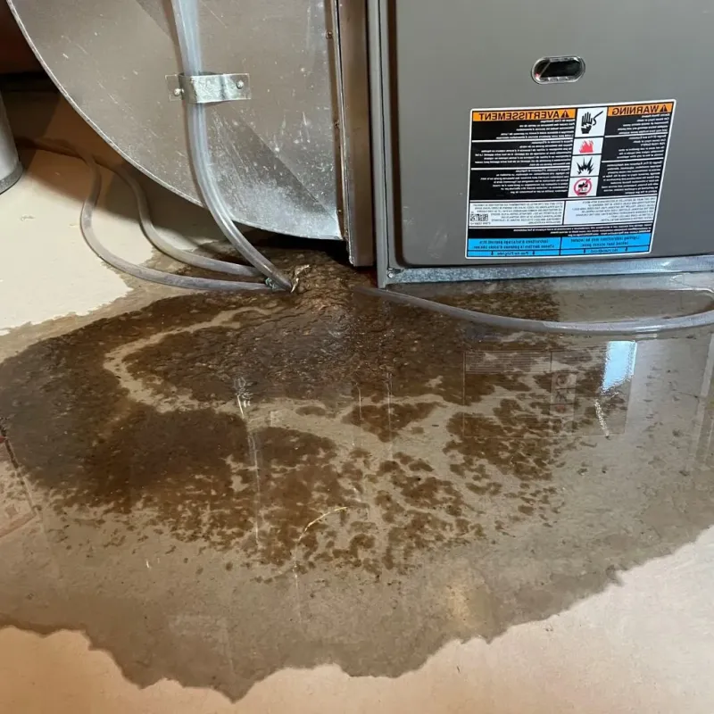 Pipe Burst and Leak Restoration in Cedarville, OH