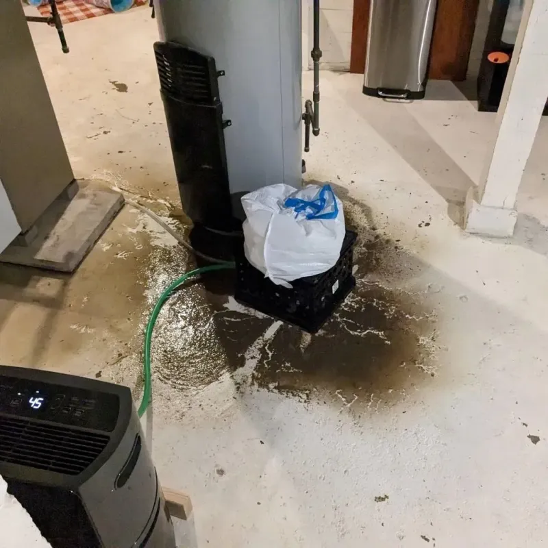 Sewage Backup Cleanup Service in Cedarville, OH